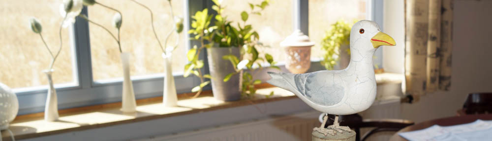 Wassersporthafen Hasenbüren